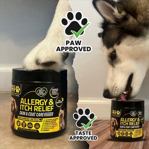 Snazzi Pet Dog Allergy & Itch Relief Chews – Omega 3, Colostrum, Turmeric, Probiotics – Hot Spots, Paw Licking, Dry Skin & Coat Health – Tasty Beef Flavor – 120 Soft Chews