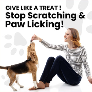 Snazzi Pet Dog Allergy & Itch Relief Chews – Omega 3, Colostrum, Turmeric, Probiotics – Hot Spots, Paw Licking, Dry Skin & Coat Health – Tasty Beef Flavor – 120 Soft Chews