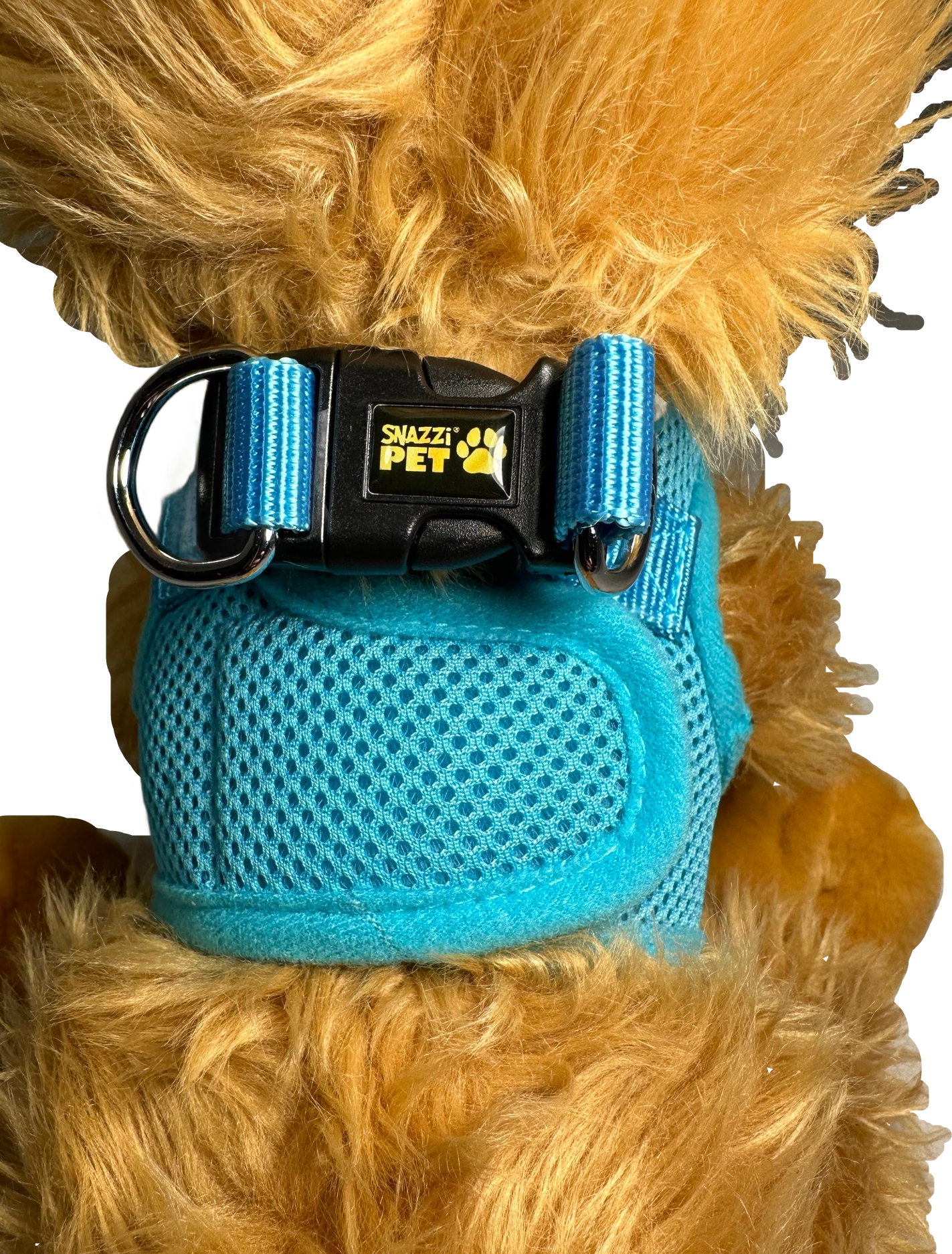 Tiny dog harness hot sale